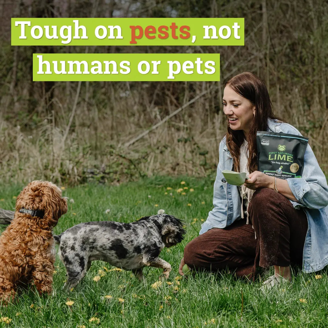Say goodbye to pesky bugs! 🌿✨ First Saturday Lime is your pet-friendly insect repellent and deodorizer for home, garden, yard, and chicken coop. Keep your space safe and fresh! 🐾🦟 #PestControl #HomeGarden