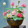 Grow Your Own Oasis: 10 Colorful Bonsai Bowl Lotus Seeds for Stunning Water Lilies! 🌸💧🌿